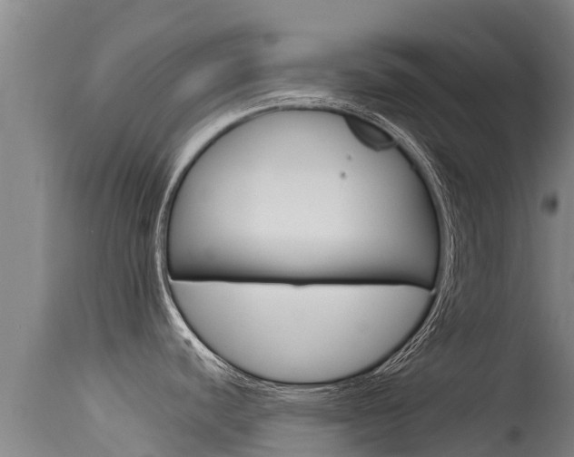 X0000115771440200911131012