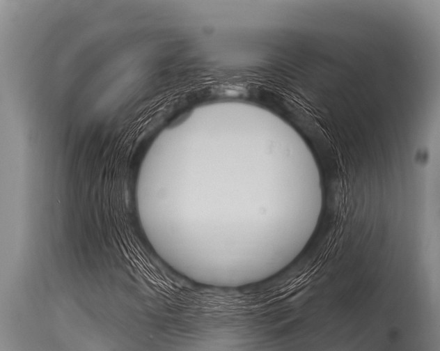 X0000115771442200911131011