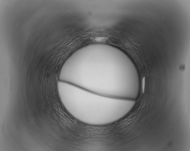 X0000115771443200911131011