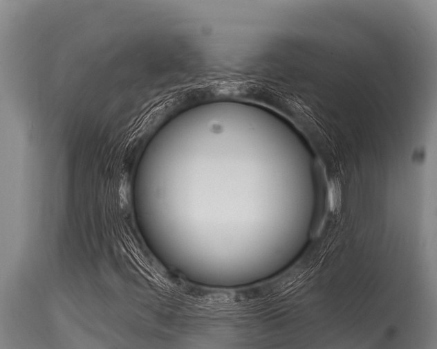 X0000115771444200911131011