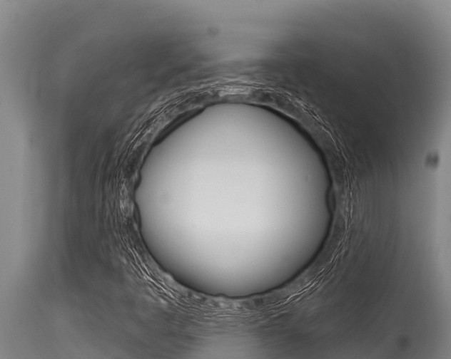 X0000115771445200911131011