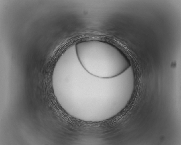 X0000115771447200911131011