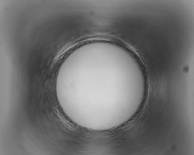 X0000115771448200911131011
