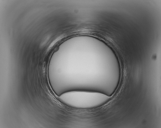 X0000115771450200911131011