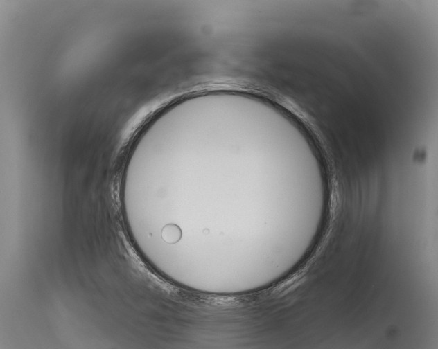 X0000115771454200911131011