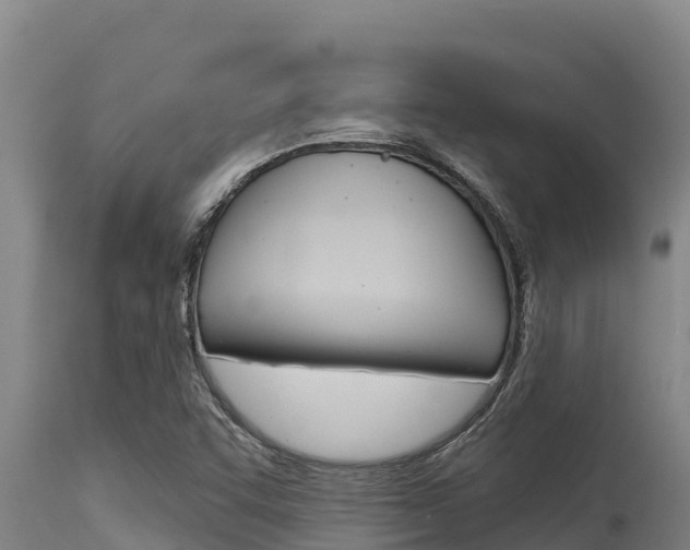 X0000115771455200911131011