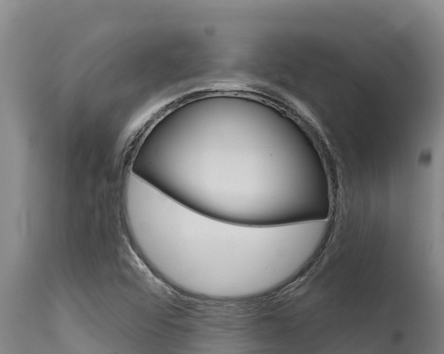 X0000115771456200911131011