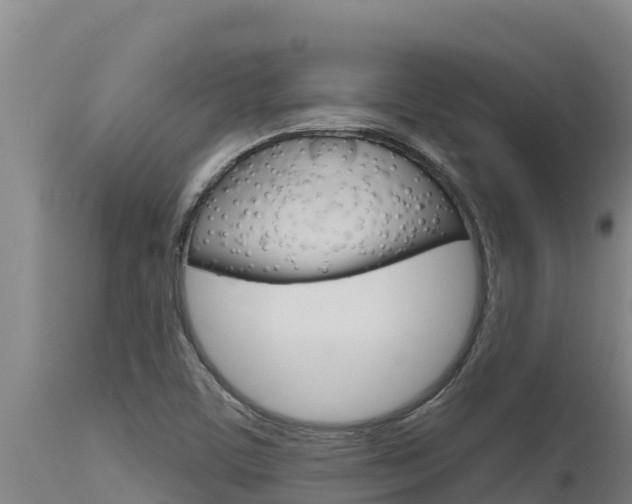 X0000115771459200911131011
