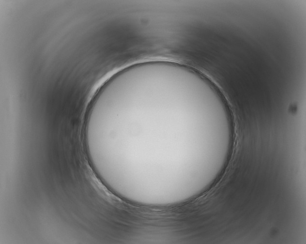 X0000115771460200911131011