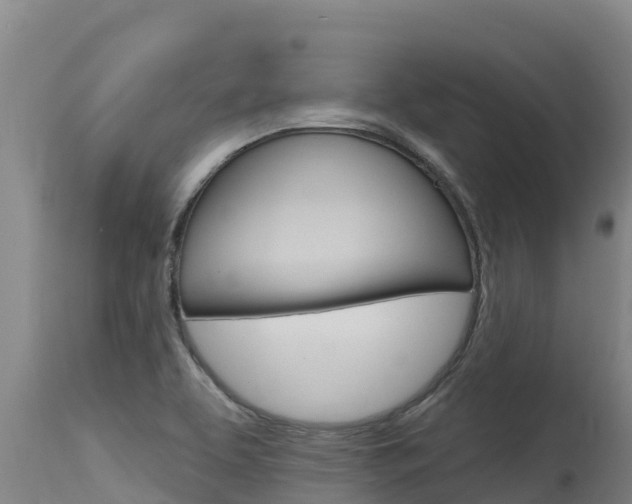 X0000115771463200911131011