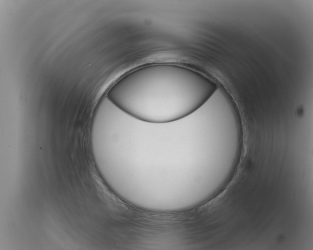 X0000115771465200911131011