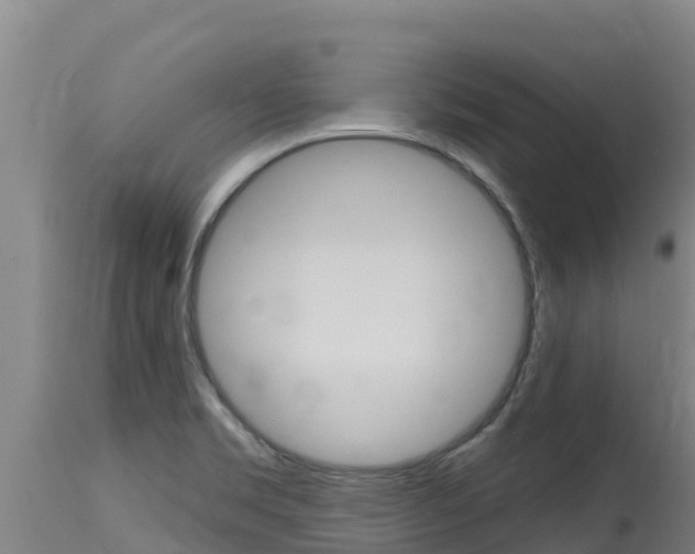 X0000115771469200911131011