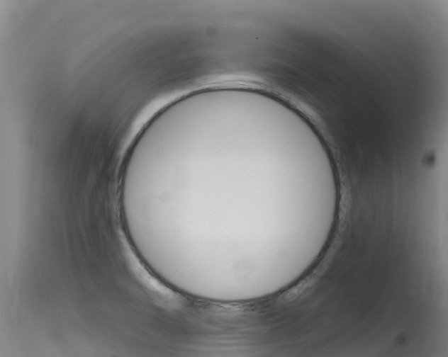 X0000115771470200911131011
