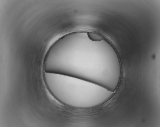 X0000115771471200911131011