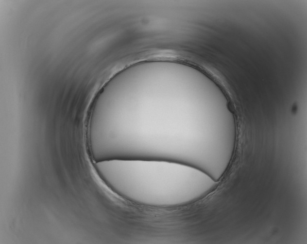 X0000115771475200911131011