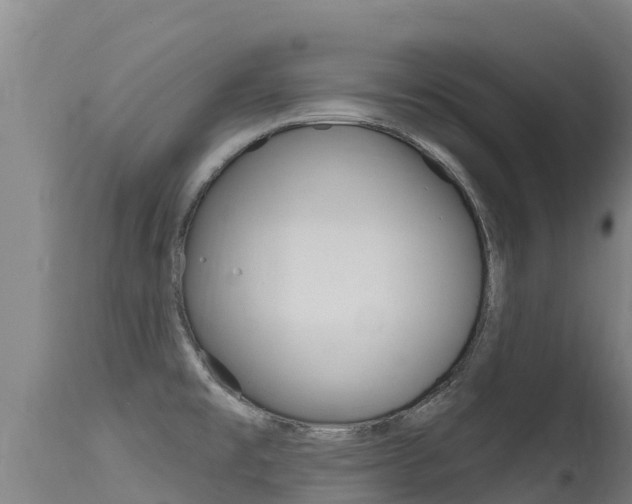 X0000115771477200911131011