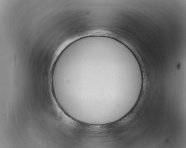 X0000115771478200911131011