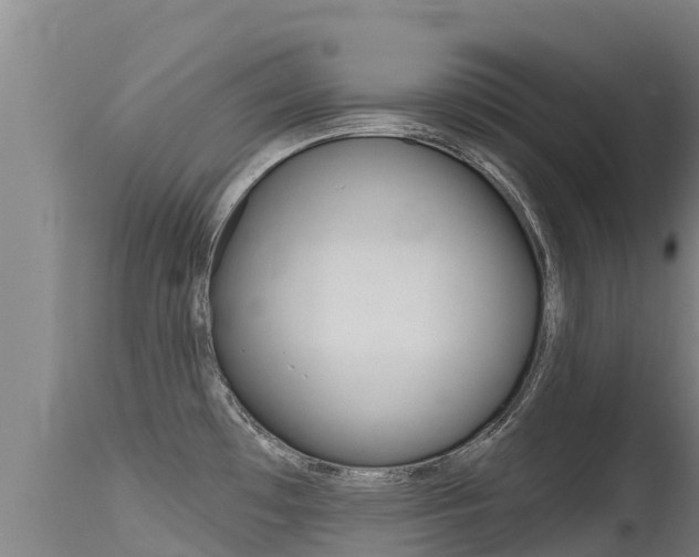 X0000115771481200911131011
