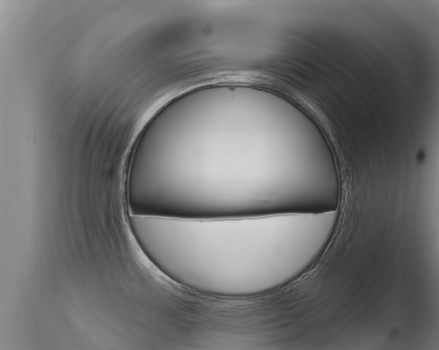 X0000115771483200911131010