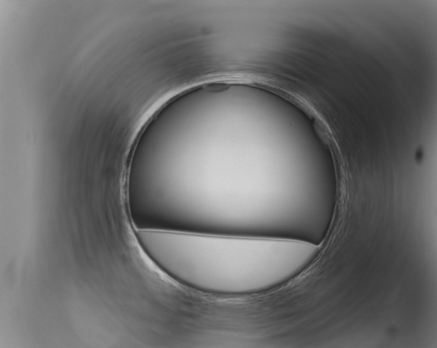 X0000115771484200911131010