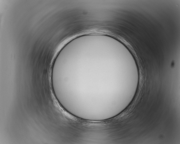 X0000115771486200911131010