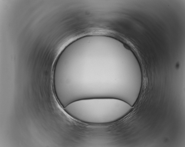 X0000115771487200911131010