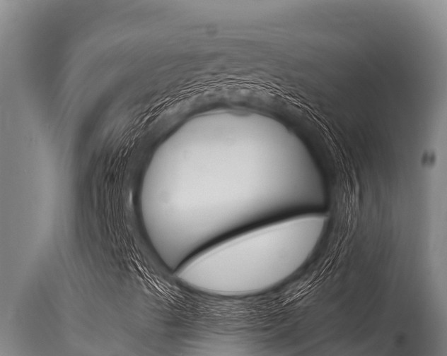 X0000115771489200911131010