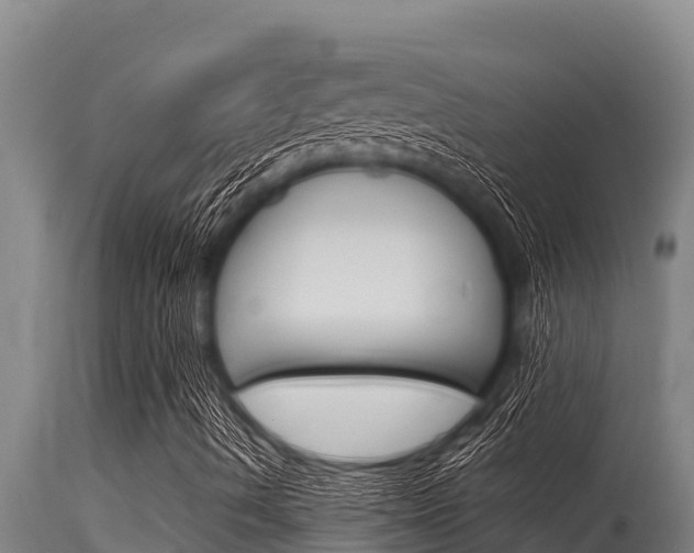 X0000115771490200911131010