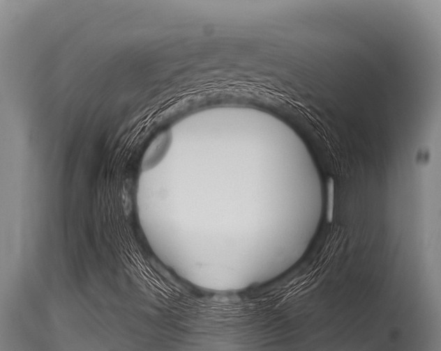 X0000115771491200911131010