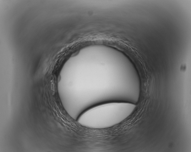 X0000115771493200911131010