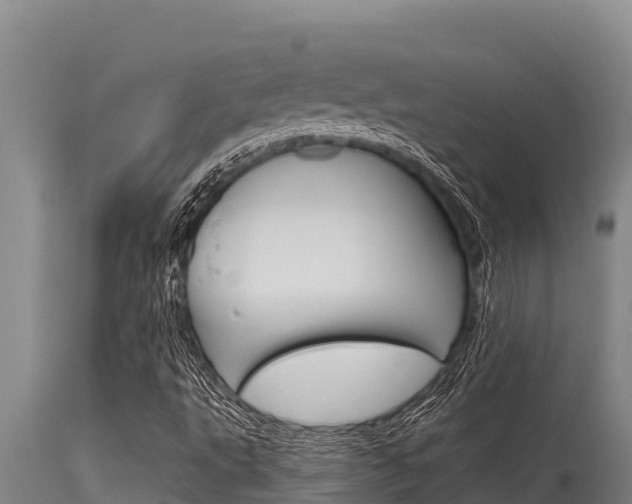 X0000115771495200911131010