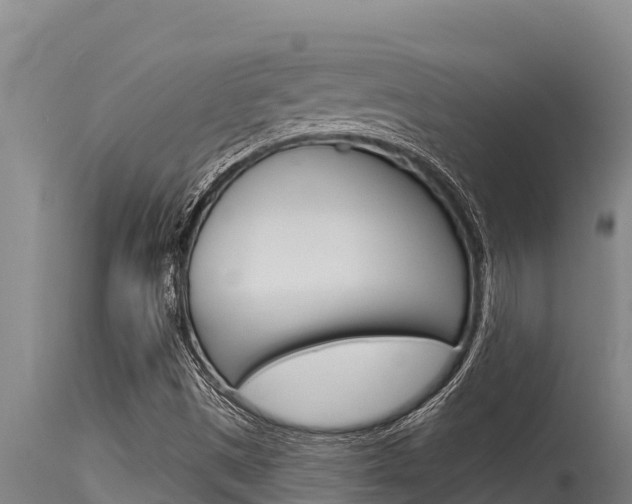 X0000115771497200911131010