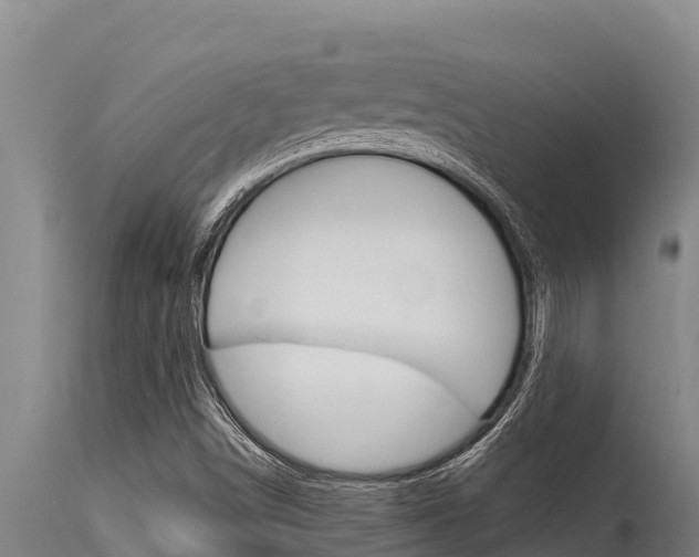 X0000115771498200911131010