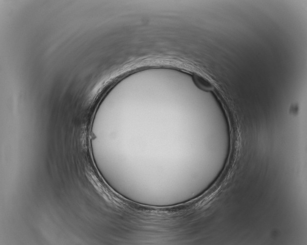 X0000115771499200911131010