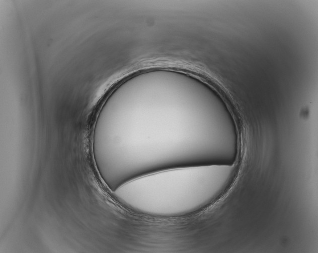 X0000115771501200911131010