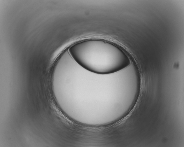 X0000115771502200911131010