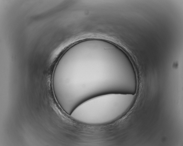 X0000115771503200911131010