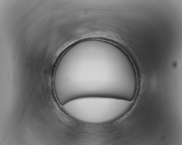X0000115771505200911131010