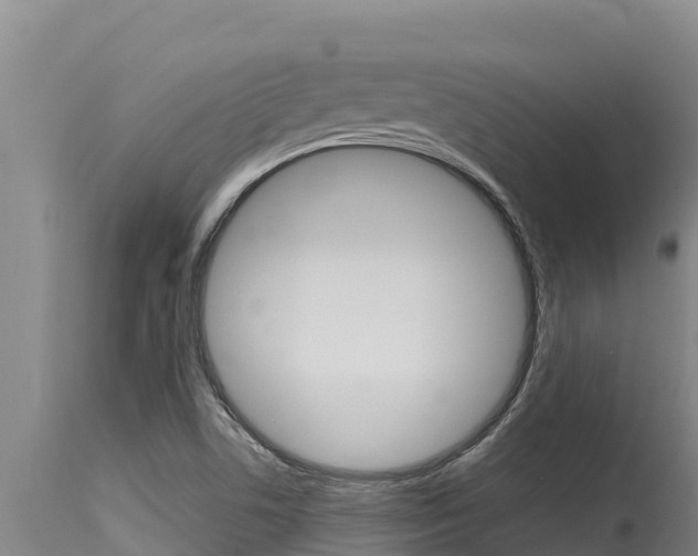 X0000115771506200911131010