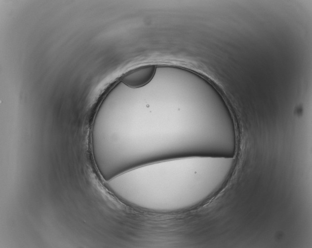 X0000115771507200911131010