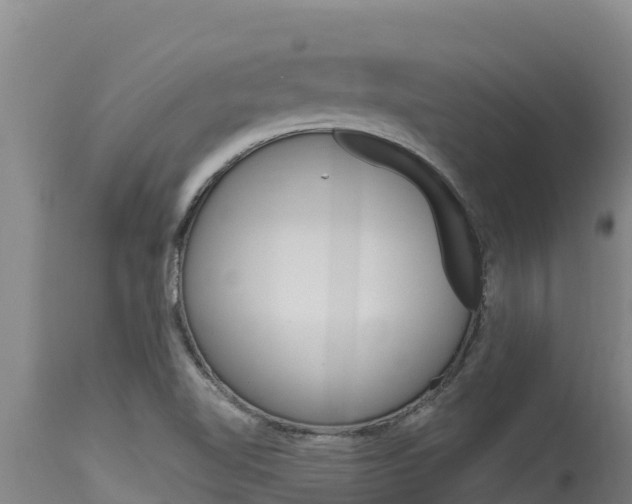 X0000115771510200911131010