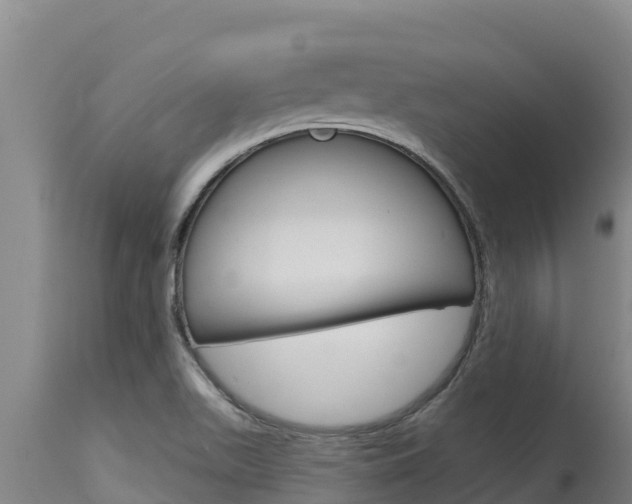 X0000115771511200911131010