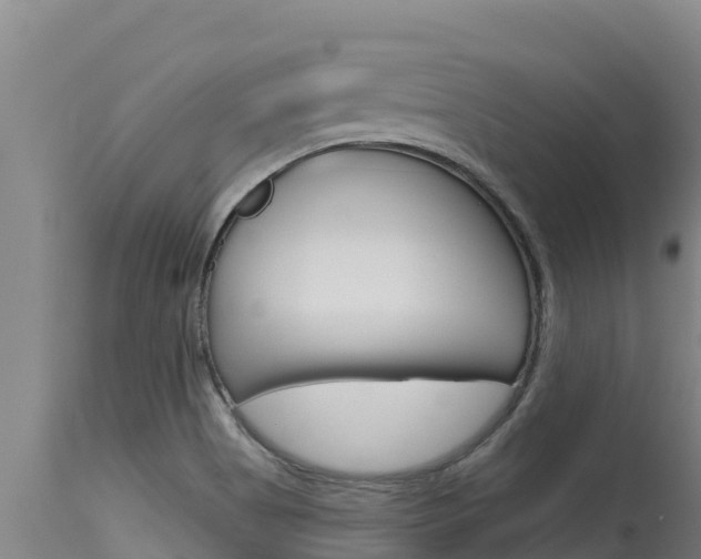 X0000115771513200911131010