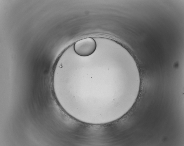 X0000115771514200911131010