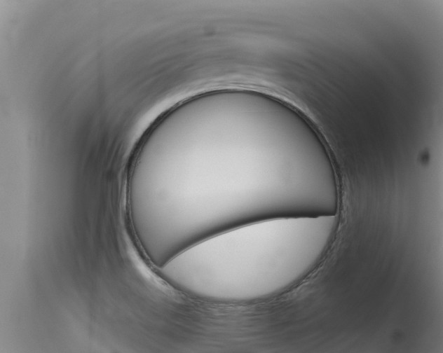 X0000115771515200911131010