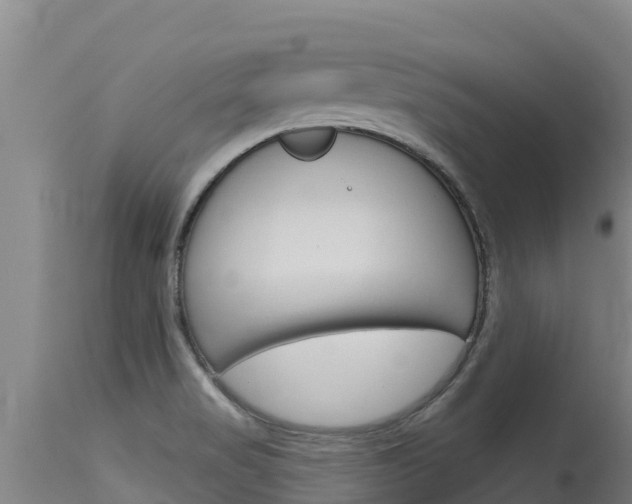 X0000115771517200911131010