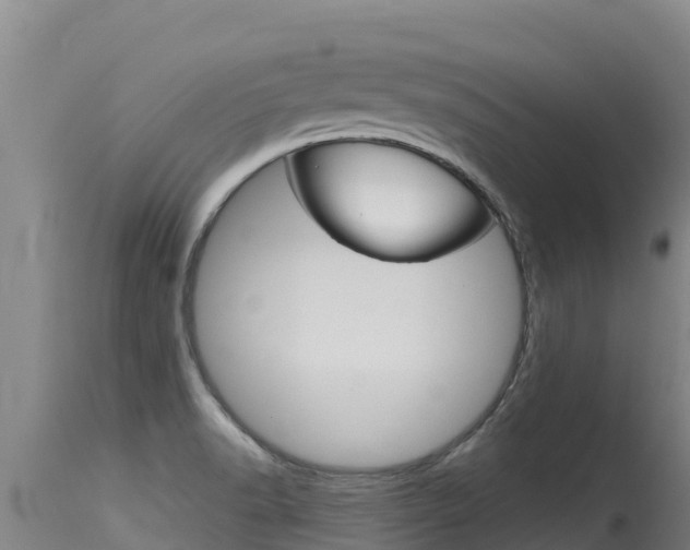 X0000115771518200911131010