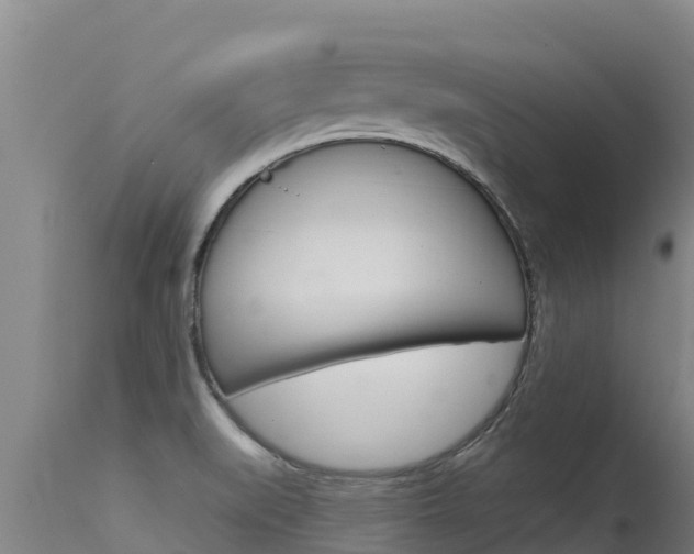 X0000115771519200911131010