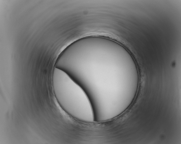 X0000115771521200911131010