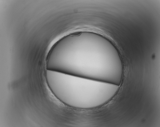 X0000115771522200911131010